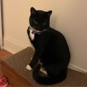 Meet your Posher, Quinn